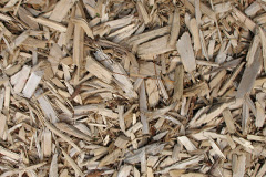 biomass boilers Padog