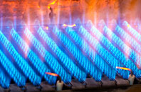Padog gas fired boilers